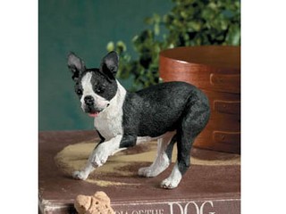 Polyresin Boston Terrier Figurine