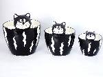 Ceramic Planters